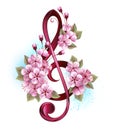 Treble clef with sakura on white background Royalty Free Stock Photo
