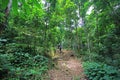 TRECKING IN JUNGLE IN BANTEN, INDONESIA Royalty Free Stock Photo