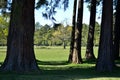 TREDEGAR HOUSE , Historic house and gardens in South Wales