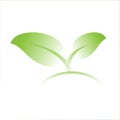 Seedlings for environment. Seedling icon.