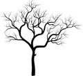 Vector image of the thee trunk with the branches isolated on the white background.