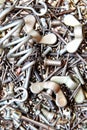 Metal fasteners Royalty Free Stock Photo