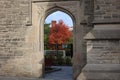 Tree ablaze with Orange leaves is framed by a stone archway