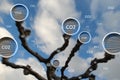 tree absorbing carbon dioxide concept