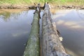 Tree across Closeup river