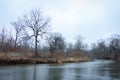 Tree Across a River in Winter