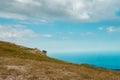 A tree against the background of a beautiful blue sky and mountains. Royalty Free Stock Photo