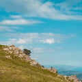 A tree against the background of a beautiful blue sky and mountains. Royalty Free Stock Photo