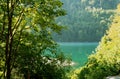 Tree against the background of the blue small river