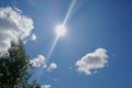 A tree against the blue sky and white clouds.  The sun shines brightly. Royalty Free Stock Photo