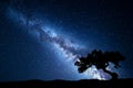 Tree against Milky Way. Night landscape Royalty Free Stock Photo