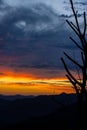 tree against Panorama colourful magnificent sunset in countryside above hills and fields, beauty nature background and clouds sky Royalty Free Stock Photo