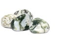 Tree Agate gemstone Royalty Free Stock Photo