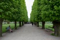 Tree alley in King`s Garden in Copenhagen