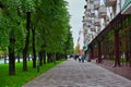 Tree alley on the Lenin Avenue in Nalchik city Royalty Free Stock Photo