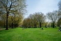 Tree alley in spring time, Green Park, London