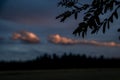 Tree alone in field with sunset near Ottenschlag town in Austria evening