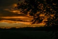 Tree alone in field with sunset near Ottenschlag town in Austria evening