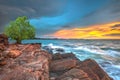 Tree alone on the rock border the sea Royalty Free Stock Photo