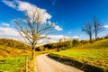 Tree along a dirt road in rural York County, Pennsylvania. Royalty Free Stock Photo