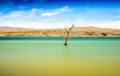 Tree amidst rural lake landscape with reeds, wildlife and with blue skies and clouds Royalty Free Stock Photo