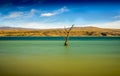 Tree amidst rural lake landscape with reeds, wildlife and with blue skies and clouds Royalty Free Stock Photo