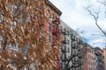 Tree with Autumn Colored Leaves in front of a Row of Colorful Old Buildings in Kips Bay New York City