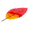 Tree autumn leaf icon, isometric style Royalty Free Stock Photo