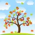 Tree with autumn leaves and berries of wild ash on a background Royalty Free Stock Photo