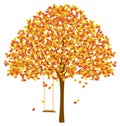 Tree with Autumn Leaves