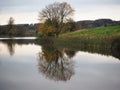 Tree with autumn leaves reflected in a lake, Ripley, North Yorkshire, UK