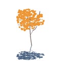 Tree in autumn season with bright orange leaves, laconic illustration isolated vector small tree with shadow on white Royalty Free Stock Photo