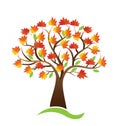 Tree autumn season logo icon background vector design Royalty Free Stock Photo
