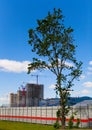 A tree on the background of the construction of a new residential complex at Avtozavodskaya. Royalty Free Stock Photo