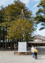 Tree with bamboo structure in area of the Hokkaido Shrine Hokkaido Jingu with tourists in winter in Sapporo. Hokkaido, Japan