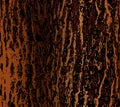 Tree bark background Royalty Free Stock Photo