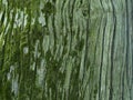 Tree bark background or texture pattern, abstract background and texture for design Royalty Free Stock Photo