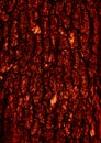 Tree bark closeup in dark red tonality Royalty Free Stock Photo