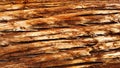 tree bark closeup natural wood lumber log logging timber Royalty Free Stock Photo