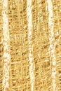 Tree Bark Fibers Background