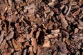 Tree bark mulching heap of pieces of wood compost for gardening.