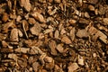 Tree bark pieces natural agriculture decorative filler