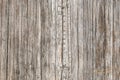 Tree bark texture, old rough wood pattern Royalty Free Stock Photo