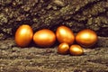 Tree bark with traditional easter golden eggs on wood, antique Royalty Free Stock Photo