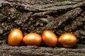 Tree bark with traditional easter golden eggs on wood, antique Royalty Free Stock Photo