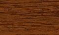 Tree bark vector texture for web page fill or graphic design, oak or maple vector drawing