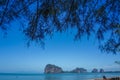 tree beach defocused. tropical beach background. blur light of calm sea and sky. Scenic background of sunlight. Royalty Free Stock Photo