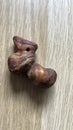 Tree bead, druid egg of an old oak with beautiful grain Royalty Free Stock Photo