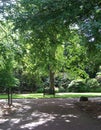 Tree and bench