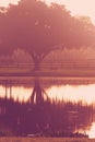 Tree and bench by lake at sunrise